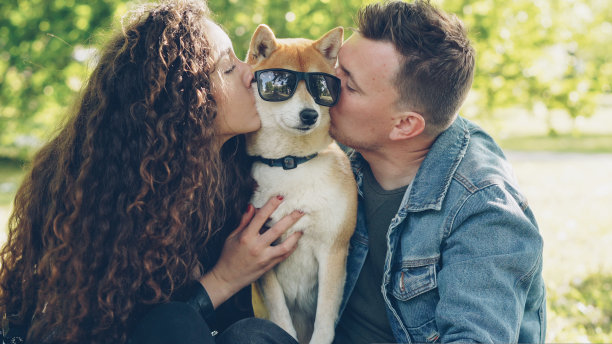 喜欢宠物主人的快乐的人在阳光明媚的日子里，在公园里玩的时候，带着墨镜的狗狗们大惊小怪，然后亲吻它图片下载