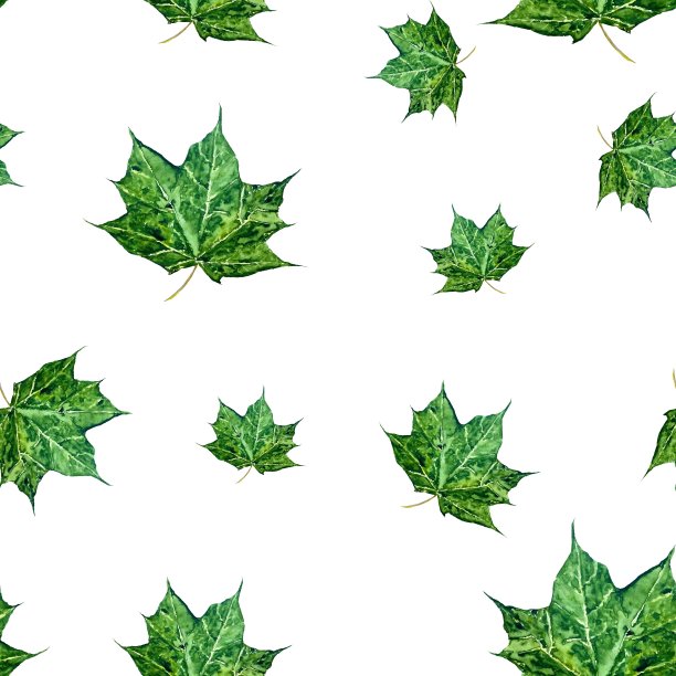 枫叶绿，图案无缝，尺寸大图片下载