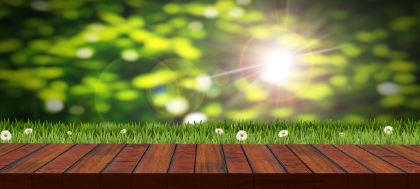 空木桌面与绿色的草和花的背景图片下载