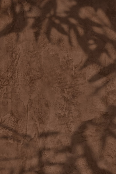 树叶的影子在棕色混凝土墙纹理背景图片下载