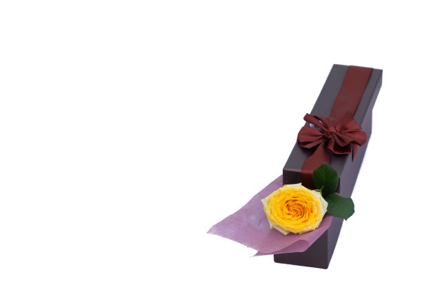 许多花图片下载