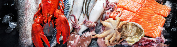 鲜鱼及海鲜图片下载