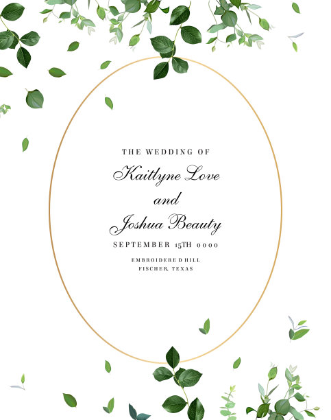 草本极简向量框架。在白色背景上手绘植物、树枝、树叶图片下载