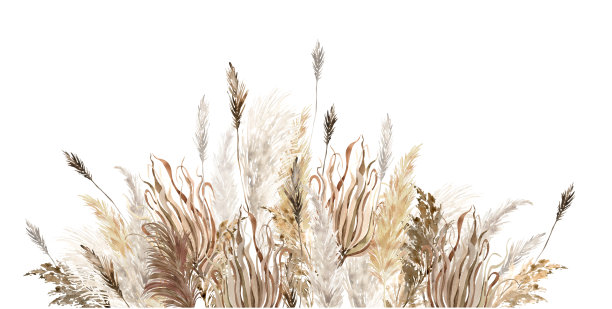 水彩野花插图图片下载