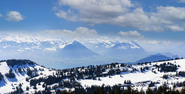 在蓝色的天空背景下，瑞士阿尔卑斯山脉积雪覆盖的山峰上的松树的山景图片下载