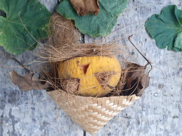 快乐Helloween图片下载