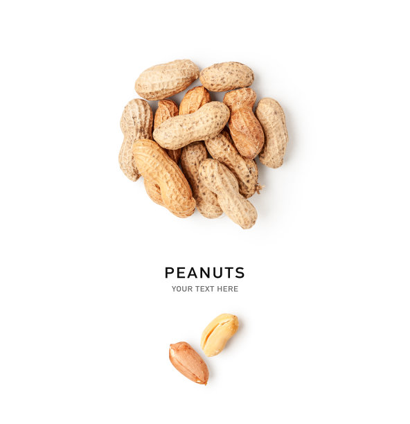 花生坚果创意布局图片下载