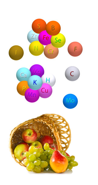 水果和微量元素以球的形式，白色底色上标有微量元素。3 d渲染图片下载