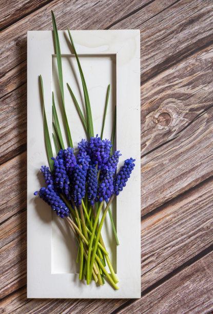 葡萄风信子花束与春天的花朵在老桌子上图片下载