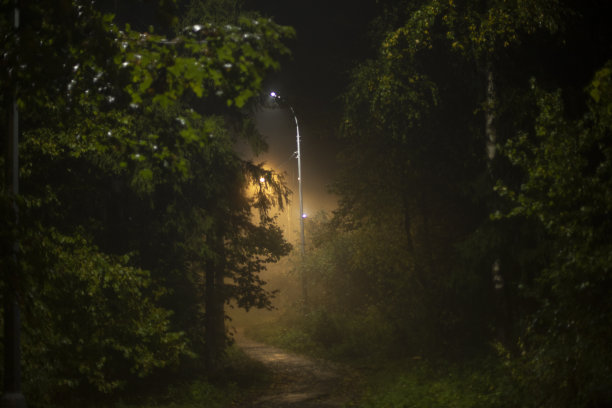 晚上公园里的雾。雾在城市。灯光和潮湿的空气。图片下载