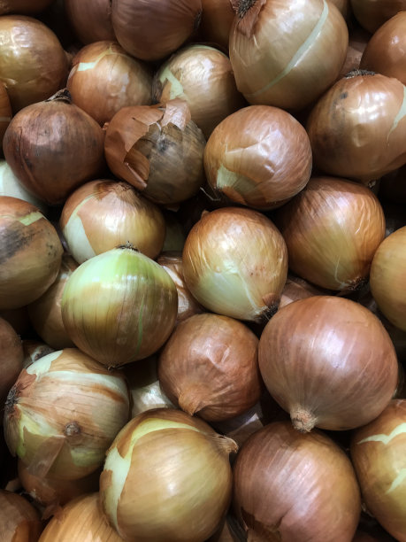 棕色大洋葱。图片下载