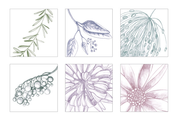 彩色抽象花卉瓷砖集花片段在广场。图片下载