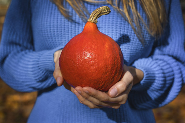 穿蓝色毛衣的女孩手里拿着一个橙色的南瓜图片下载