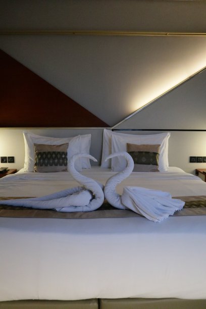 酒店清洁工用天鹅形状的毛巾装饰房间图片下载