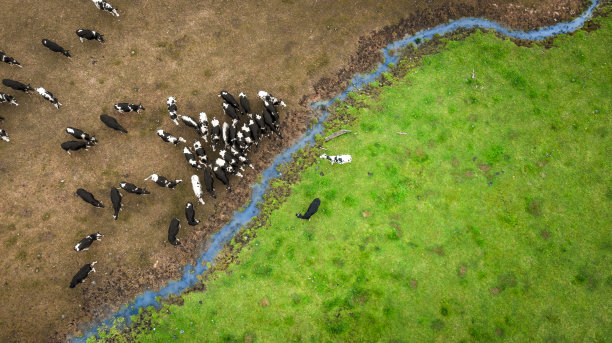 绿色的牧场图片下载