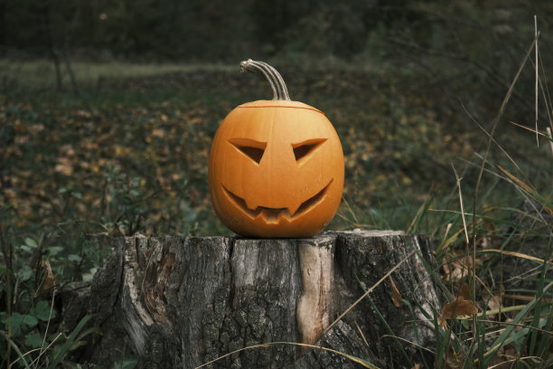 杰克灯万圣节图片下载
