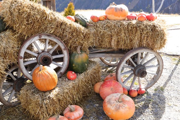 万圣节装饰的南瓜图片下载