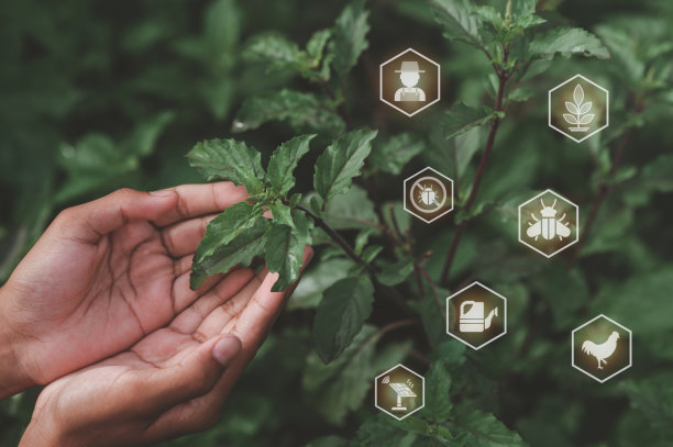 智慧农场、农业技术与有机农业图片下载