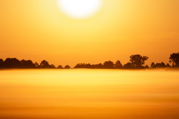 朦胧的日出充满阳光图片下载