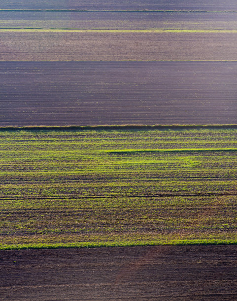 从气球上鸟瞰农田图片下载