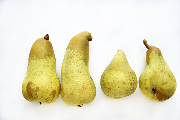 白色背景上新鲜美味的黄梨。图片下载