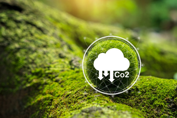 基于可再生能源的可持续发展和绿色商业理念。节约能源，可持续发展。减少二氧化碳排放的概念。图片下载