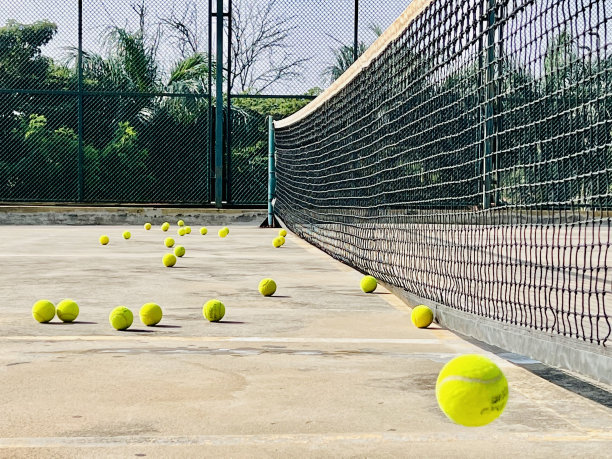 网球和网图片下载