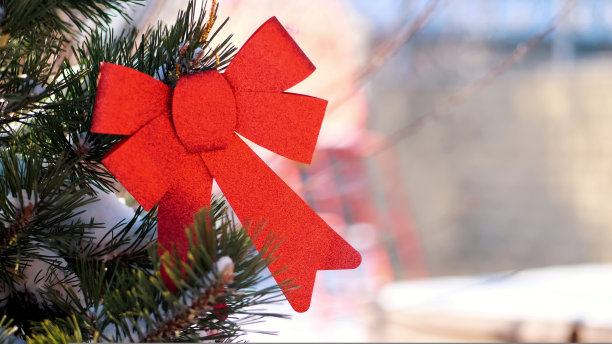 特写，圣诞玩具挂在白雪覆盖的圣诞树树枝上。冬天，结霜，下雪，晴天。图片下载