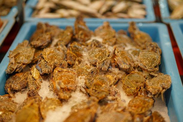 菜市场上的马蟹、蓝蟹、冰花蟹库存照片图片下载