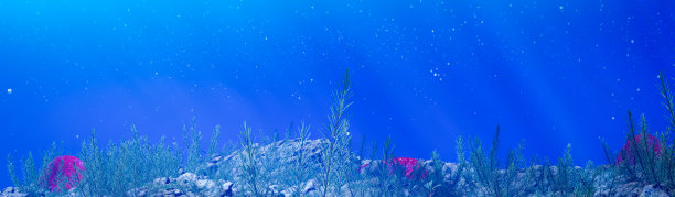 岩礁、珊瑚和水下植物。在水下拍摄时，光线照射在水下植物上。以及气泡漂浮在失焦的水中作为背景。3D渲染图片下载