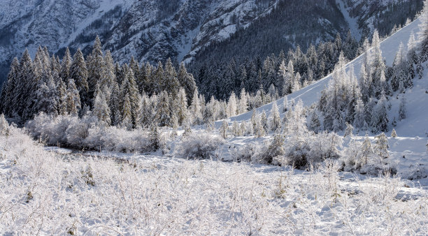 冬天，太阳慢慢地落在白雪覆盖的森林上图片下载