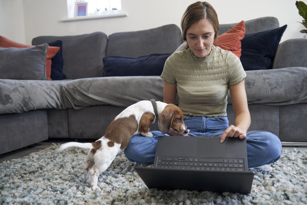 在家和宠物一起工作图片下载