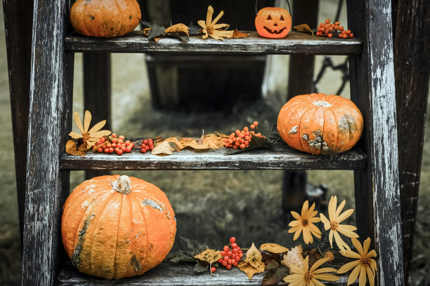 万圣节设计庭院与干燥的落叶。在秋天的时候，房子美丽的木制门廊和南瓜。图片下载