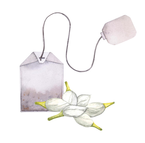 水彩插图茶包与花蕾。茶包与豆蔻插图为包装设计，烹饪用具。图片下载