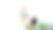 夏天，在花园里，妈妈，从下面看，爸爸扔他一岁的女儿，和她玩，玩得很开心。她是笑。家人一起度过闲暇时光。图片下载