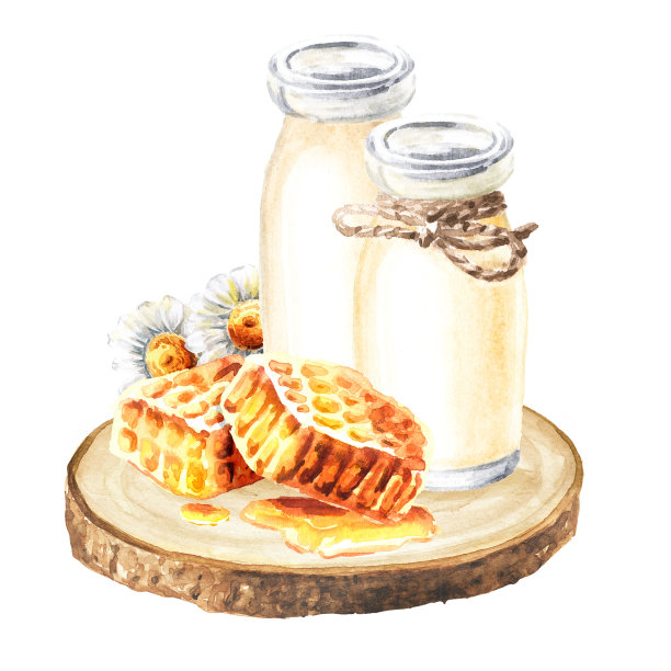 自制瓶装蜂蜜酸奶。手绘水彩插图孤立在白色背景图片下载