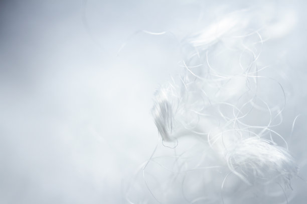 极宏观聚酯稳定纤维图片下载