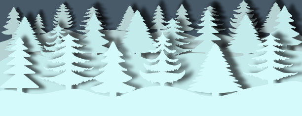 深灰色的夜晚映衬着白色的冷杉图片下载