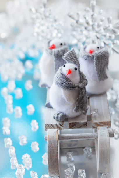 有趣的企鹅图片下载