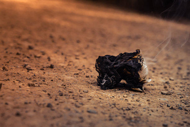 燃烧垃圾图片下载