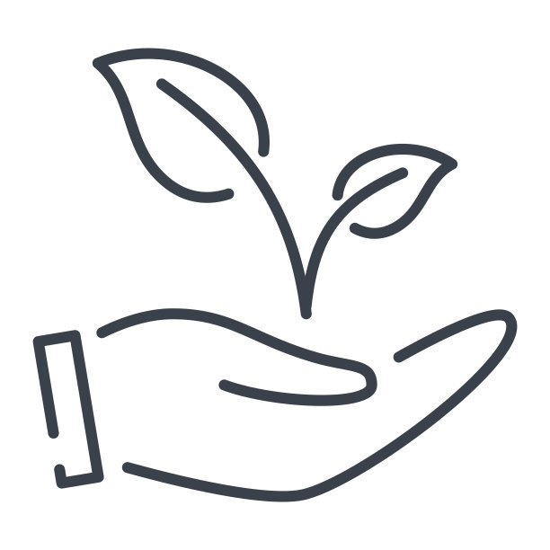 手握嫩枝或带叶的芽。培养和保护环境的概念。图片下载