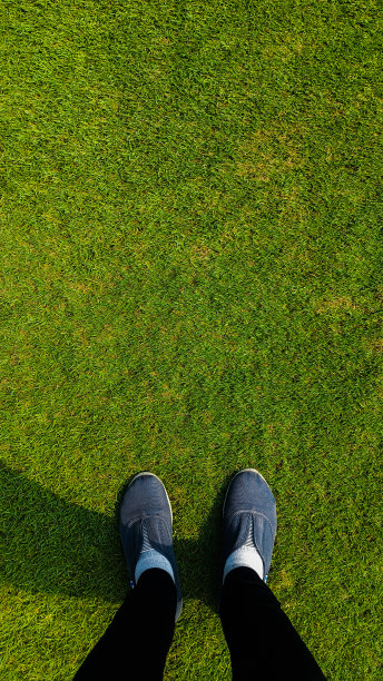 下午站在草坪上。图片下载