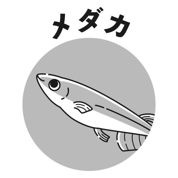 鳉鱼图标图片下载