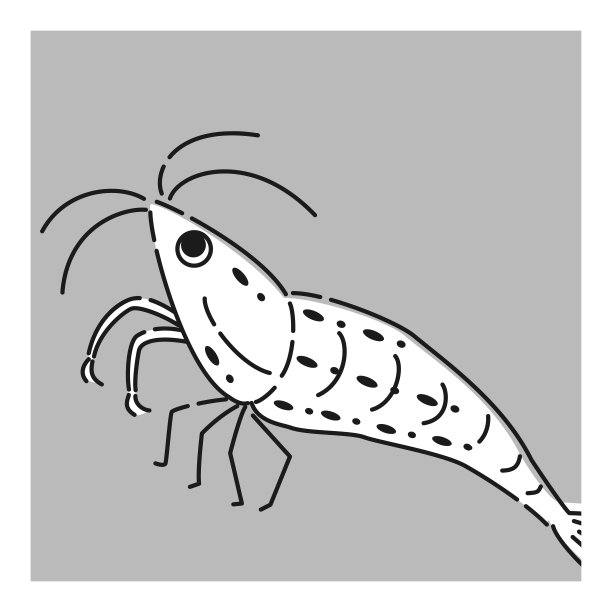 虾图标图片下载