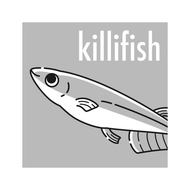 鳉鱼图标图片下载