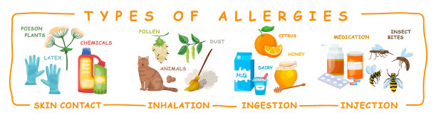 类型的过敏。医疗信息。矢量图图片下载