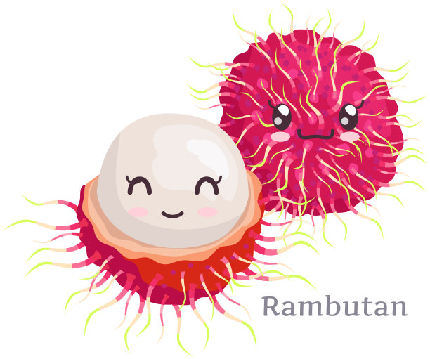 可爱的红毛丹贴纸卡哇伊人物图标矢量设计。可爱，可爱迷人的笑脸图片下载