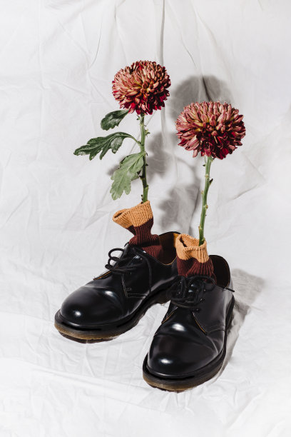 鞋子和花。图片下载