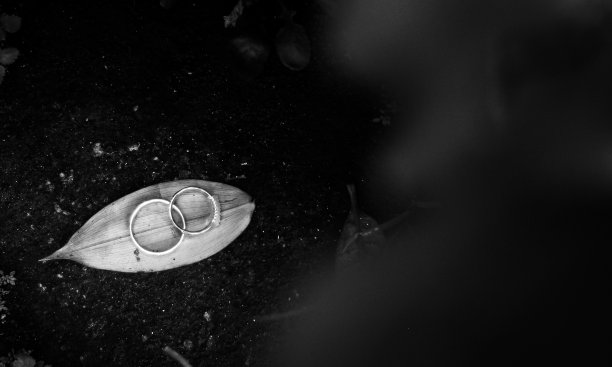 结婚戒指图片下载