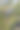 绿色的苔藓在深色的石头上图片下载
